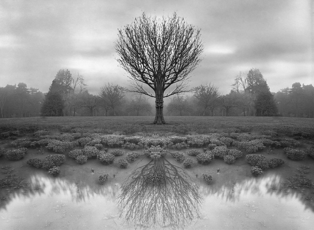 معروف ترین عکاس آمریکایی اشتیگلیتس