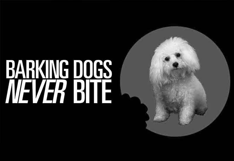 نقد فیلم Barking Dogs Bite Never Bite 2000 (سگ‌هایی که پارس نمی‌کنند، گاز نمی‌گیرند)