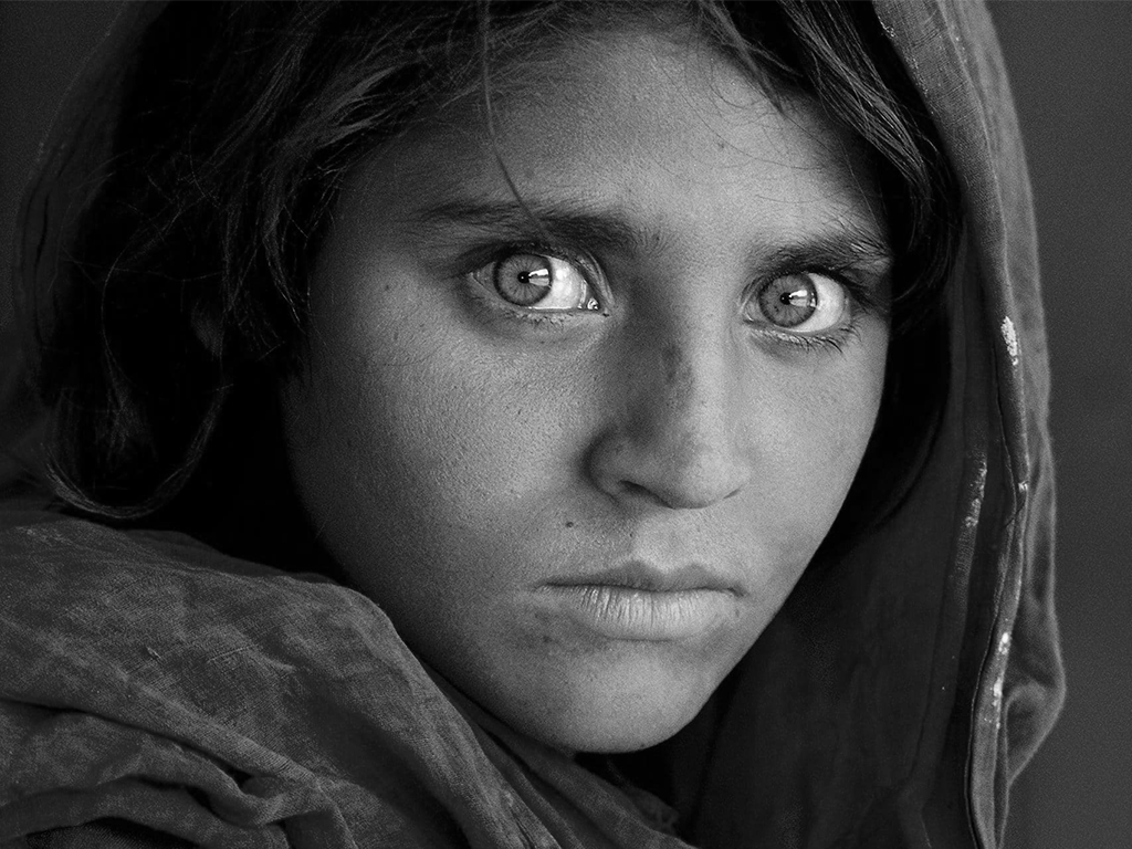 «استیو مک‌کری» استاد نور، رنگ و پرتره‌نگاری..!